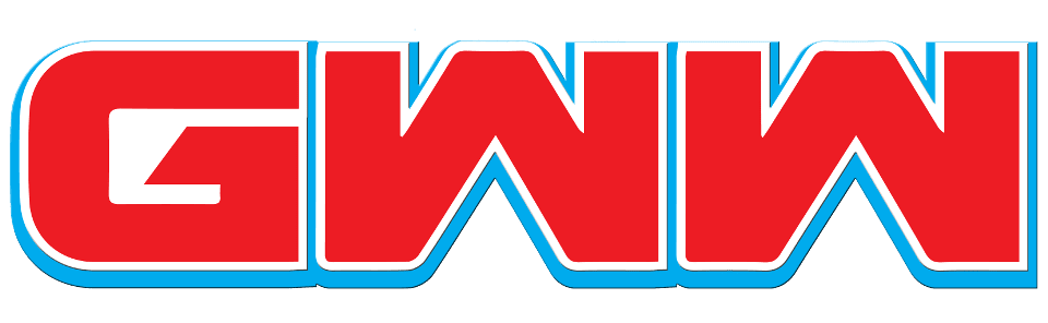 GamingWithWisdom